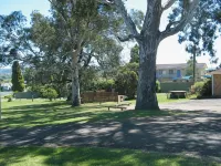 Bega Caravan Park - parking