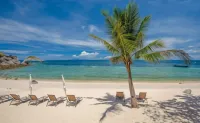 Asia Divers Resort - Beach