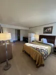 Studio Apartments