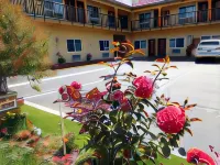 Diamond Inn - Motels