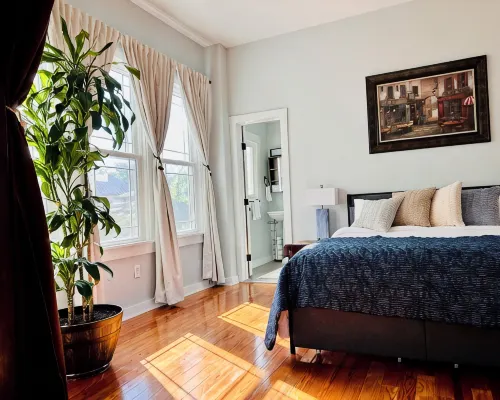 Cozy Guesthouse in Downtown San Antonio Close to Major City Attractions! Hotels near Normoyle Park