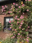 Vacation home with cottage garden on the Baltic Sea - Wi-Fi