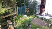Character Victorian Cottage Opposite Common Land within New Forest National Park - 4-Star