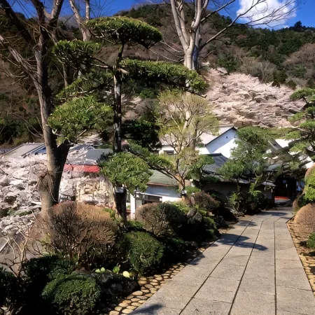 Motoyu Ryokan  Atsugi Iiyama Onsen