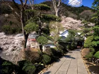 Motoyu Ryokan  Atsugi Iiyama Onsen - Bintang 3
