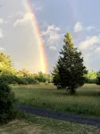 Welcoming retreat close to Cornell, Ithaca College, and Cayuga Lake - 4-Star
