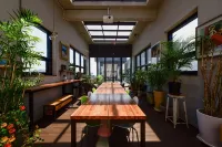 Sea Star Hostel - Hostels