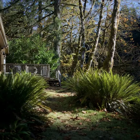 Sol Duc Riverside Retreat: Entire Riverfront Home