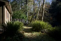 Sol Duc Riverside Retreat: Entire Riverfront Home - Hytter