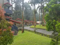 Surya Hotel & Resort Baturraden - Pysäköinti