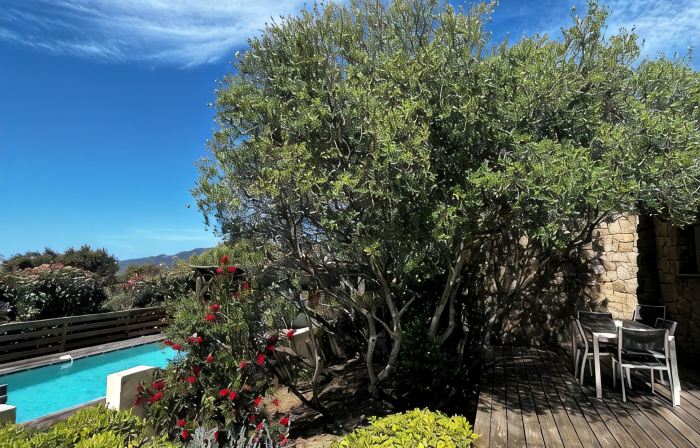 Villa Avec Piscine Privative Sécurisée au Coeur du Maquis