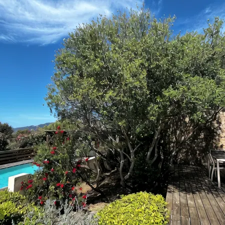 Villa Avec Piscine Privative Sécurisée au Coeur du Maquis Hotels in Figari