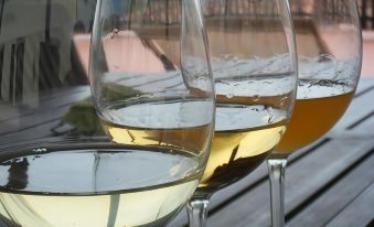 Agriturismo Grillo Iole Winery