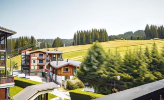 Hotel Alpina & Spa