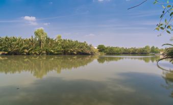 a serene landscape of a lake with trees and clouds reflected in the water , under a clear blue sky at Baan Suan Nuanta
