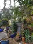 Mapleton Peaceful Provence Bnb Hotels in Flaxton