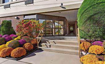Comfort Inn Syosset-Long Island