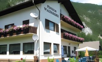 Pension & Apartments Waldkrieber