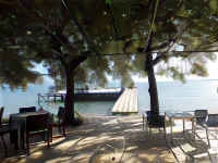 Dassia Beach Hotel Hotels in Dassia