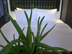 센니아 리조트