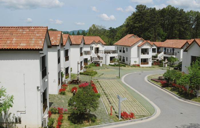 Meta Pension, DamYang