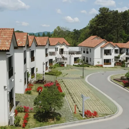 Meta Pension, DamYang