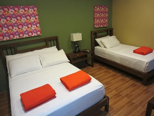 Purple Tree Bed & Breakfast - Bed and Breakfasts