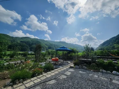 Danyang Forest 67