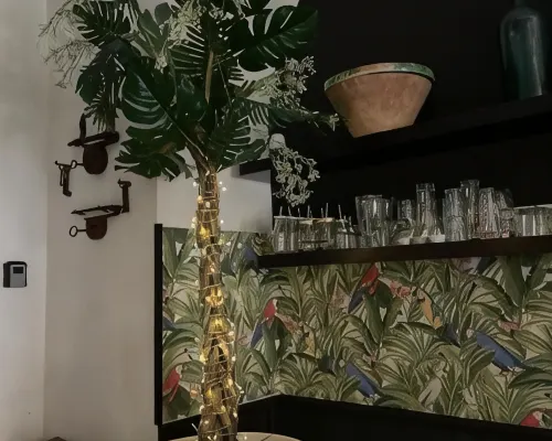 ميني هوم كاتانيا Photos