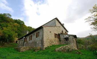 A Stay Surrounded by Greenery - Agriturismo la Piaggia -App 3 Guests