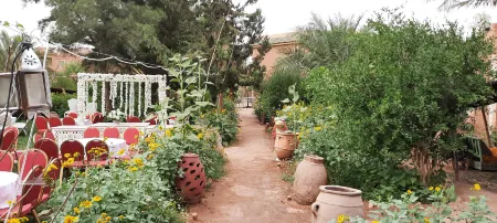 Paradise in the Southern Desert Morocco