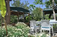 Bellerofon Beach Otel