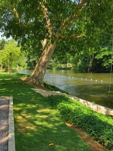 รูปภาพของนรินฟ้า รีสอร์ท แก่งกระจาน