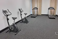 Metro Advance Apartments & Hotel - palestra