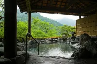 新祖谷温泉 ホテルかずら橋