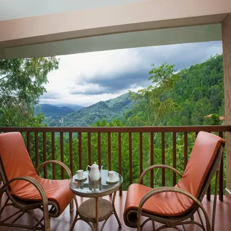 Oxygen Resorts Thekkady