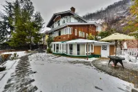 Hotel Metropolis Srinagar