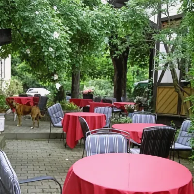 Adler Hotels in der Nähe von Sternriedhöhle