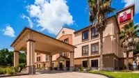 Best Western Plus North Houston Inn  Suites Hotels in Houston