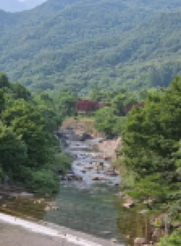 Gurye Peanut Pension