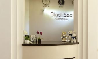 Black Sea Guest House