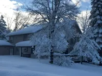 Private Chalet with views and a Sauna - Homestays