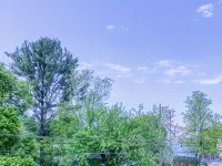 Come visit The Sunflower House! 4 bedrooms 2 baths in Ashtabula Harbor with WIFI Hotels in Ashtabula