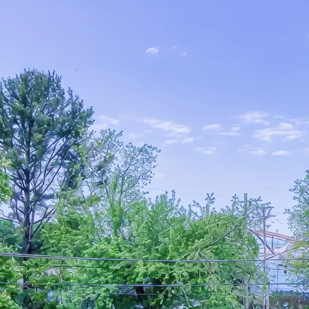 Come visit The Sunflower House! 4 bedrooms 2 baths in Ashtabula Harbor with WIFI