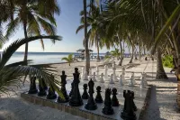 Luxury 250' long Beachfront-Pool,Horse Fountain, Snorkeling, Volleyball & Chef! - Villas