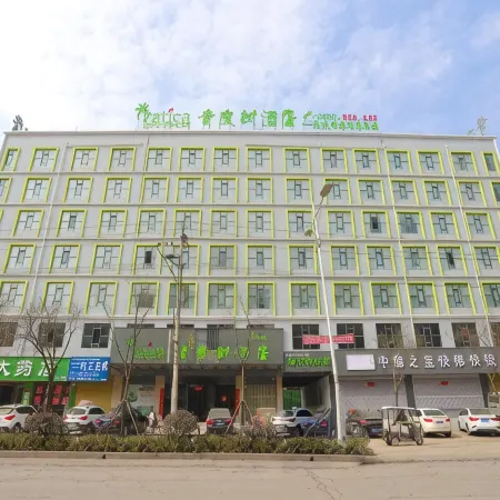 Vatica Hotel Отели в г. Луи