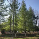 Yunduo Holiday Hotel (Qitaihe Pedestrian Street)