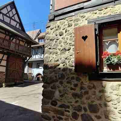 Gite Le Bretzel in the heart of the historic center Hotel Exterior