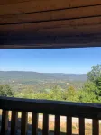 Tree Top View