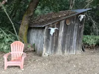 Serene Historic Cabin, Nine Acre Estate, Just Off I-5